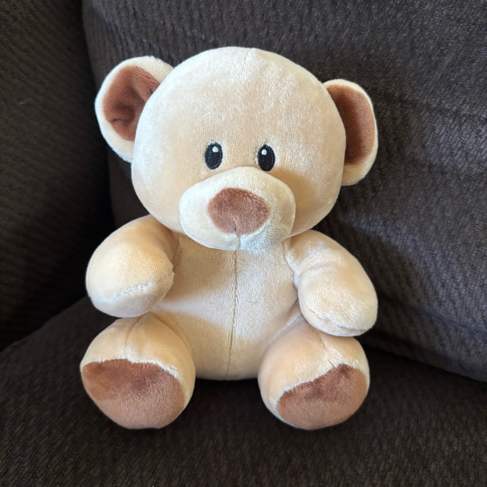 Ty Beanie Bear (Bundles)